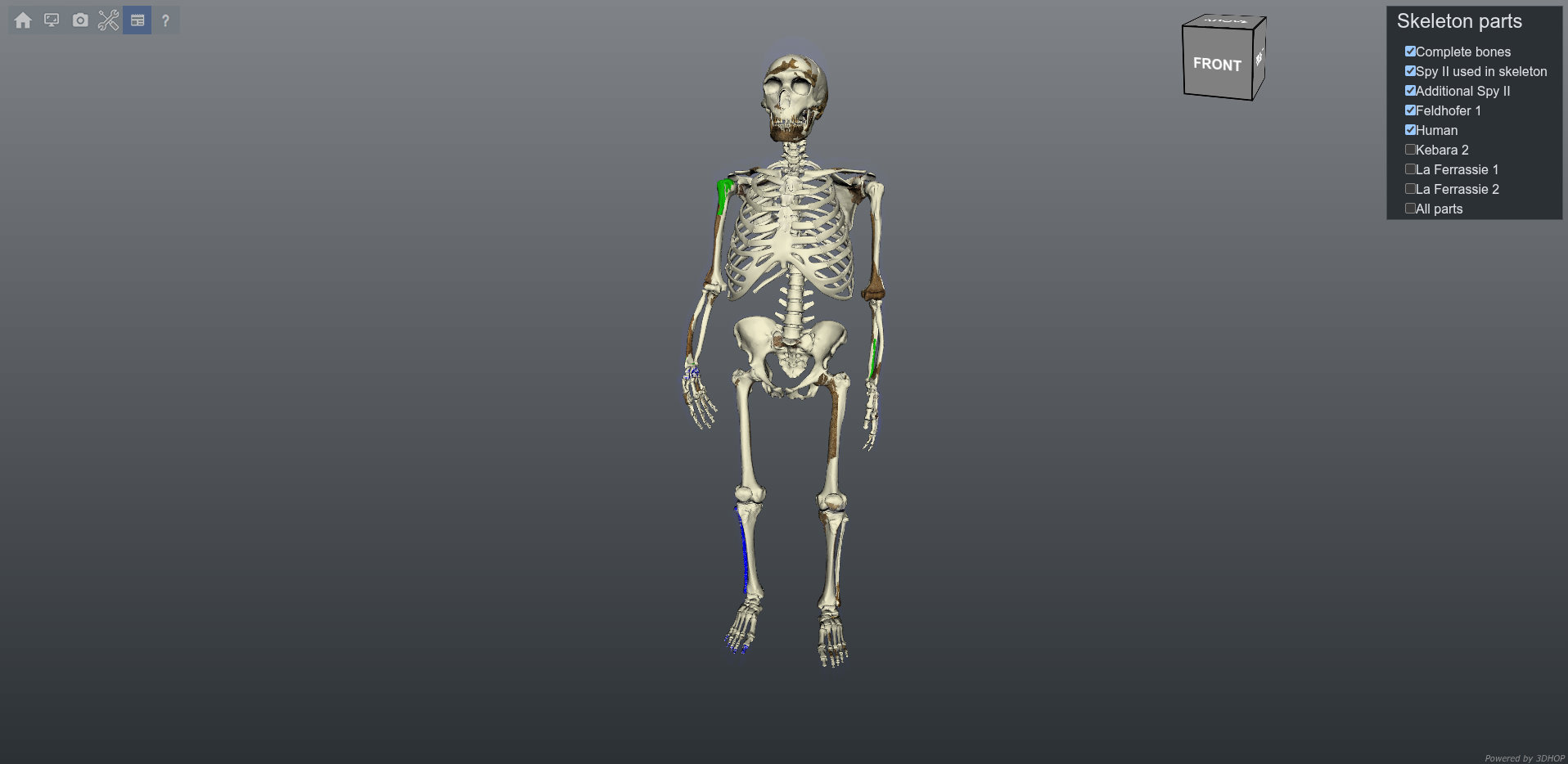 Spy skeleton.jpg