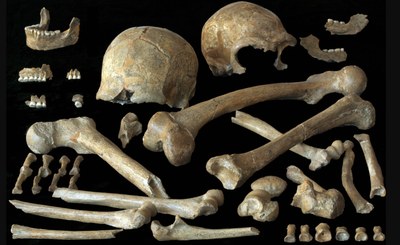 Spy-bones.jpg