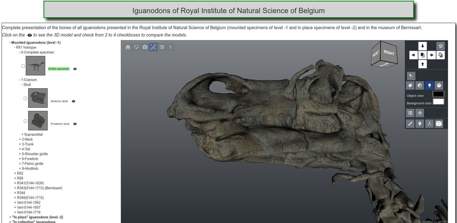 Surface Scanning Large Specimens Multiview.jpg