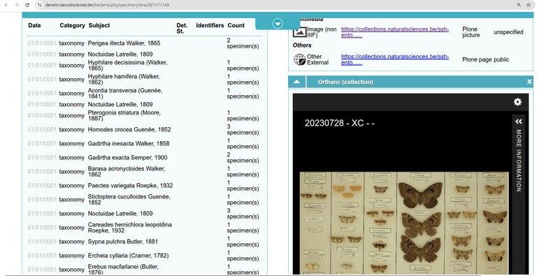 darwin-IIIF.jpg