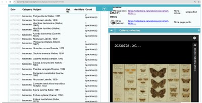 darwin-IIIF.jpg