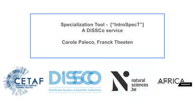 Specialization Plan.png