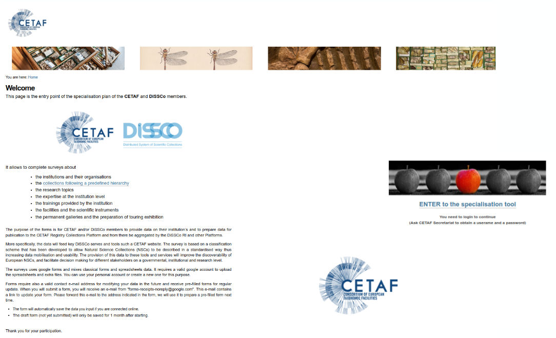 Specialization tool.png